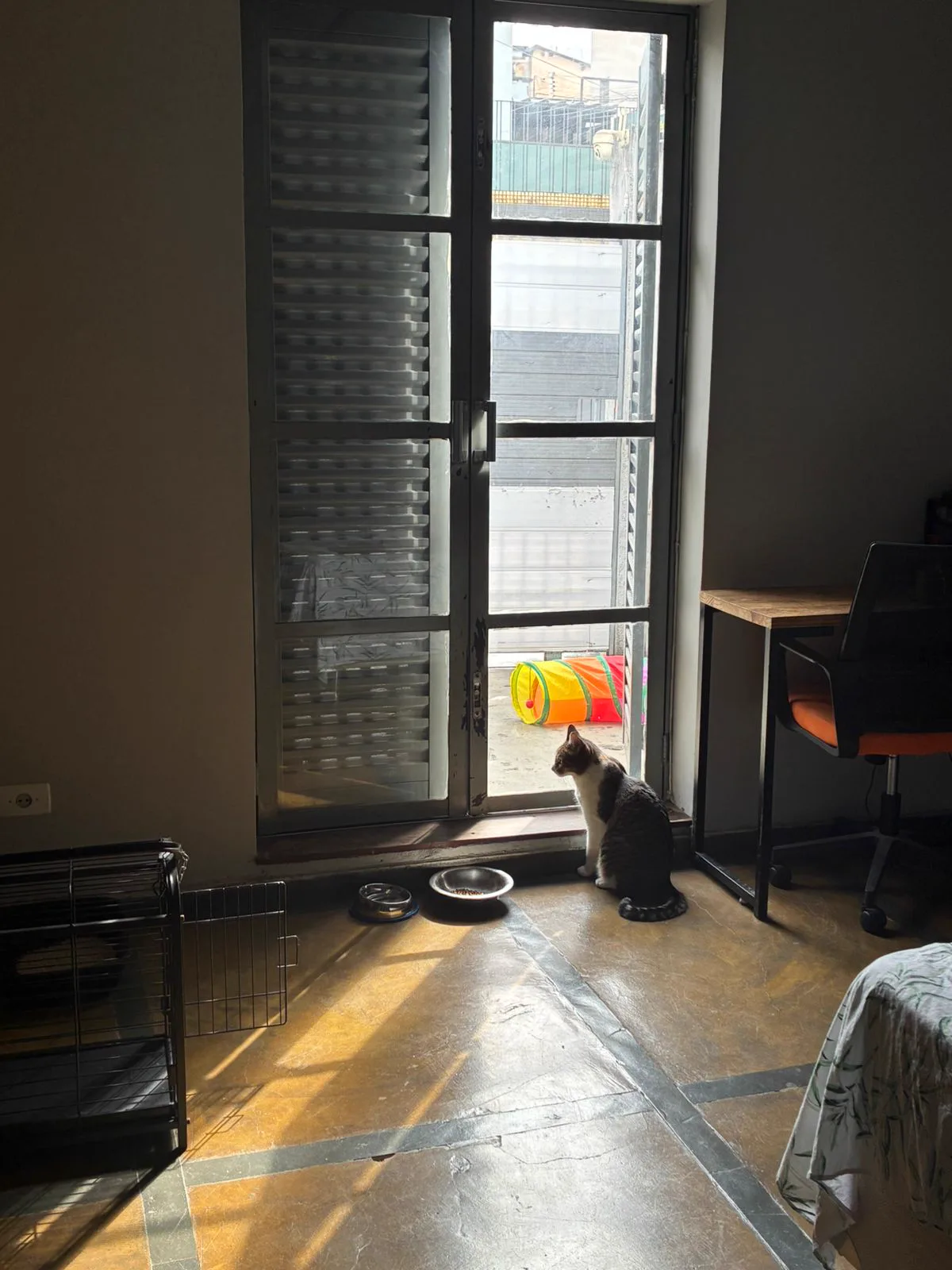 Quarto interno do BullDog Hotel adaptado para hospedagem de felinos