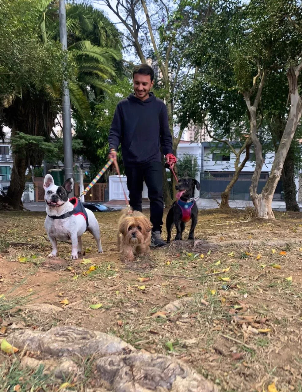 Área de passeio guiado com cuidadores experientes do BullDog Hotel